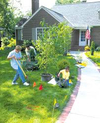 Homeowner Safe Digging Guide